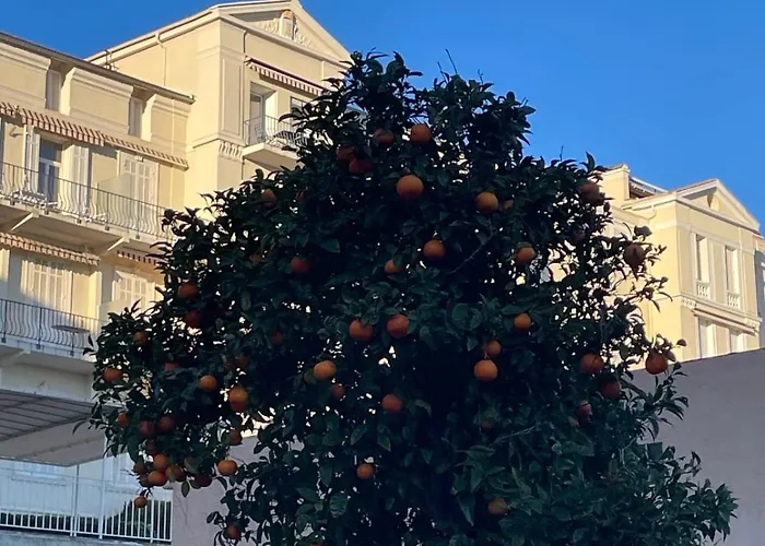 With Balcony At The Foot Of The Daire Sainte-Maxime